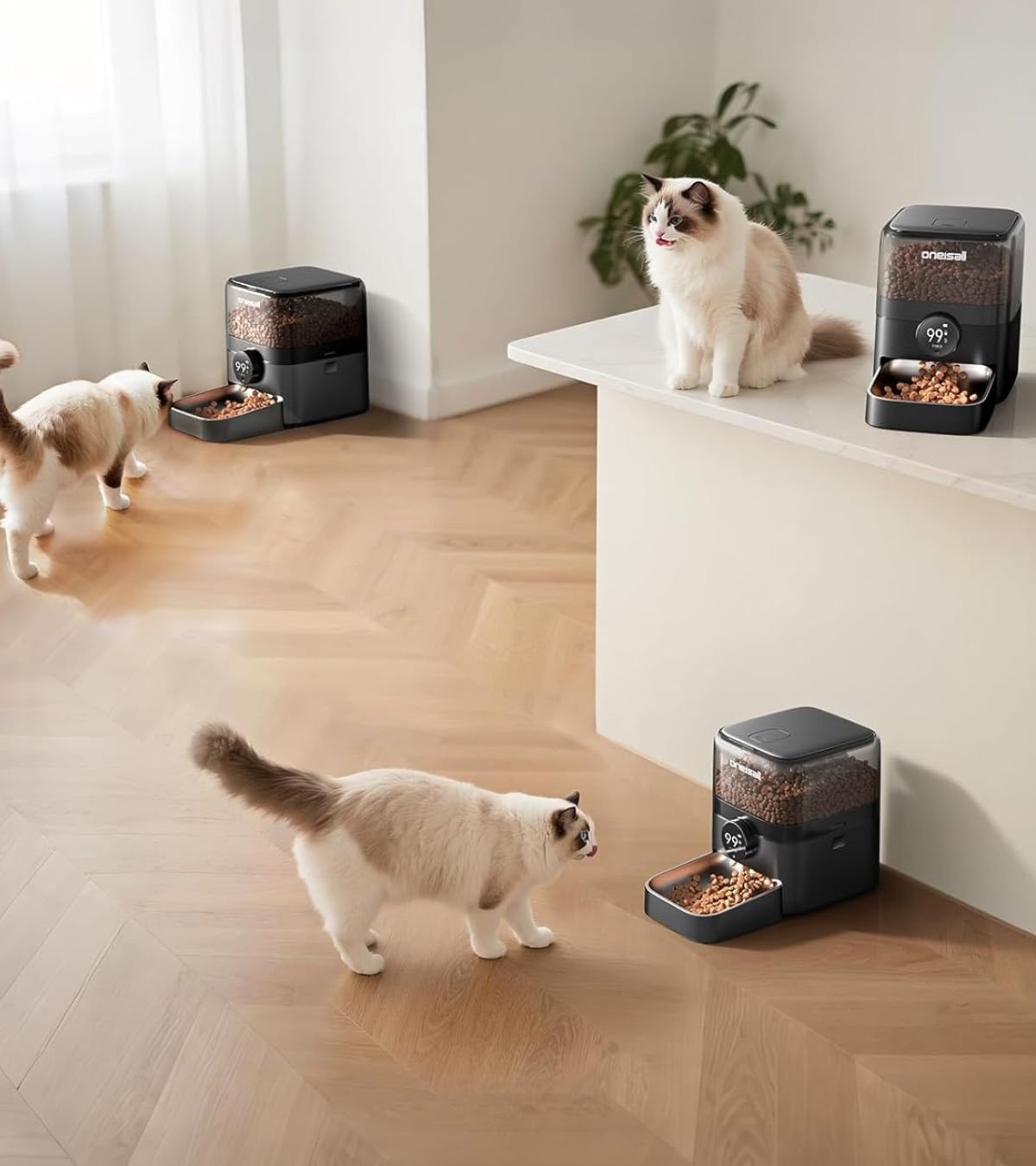 PETLIBRO Automatic Cat Feeder